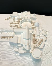 MEDICI (PROJECT) | PACIFIC NORTHWEST